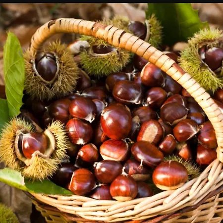 La Rosa Dei Venti Alojamento de Acomodação e Pequeno-almoço Acri