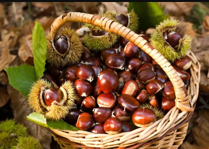 La Rosa Dei Venti 住宿加早餐酒店 Acri